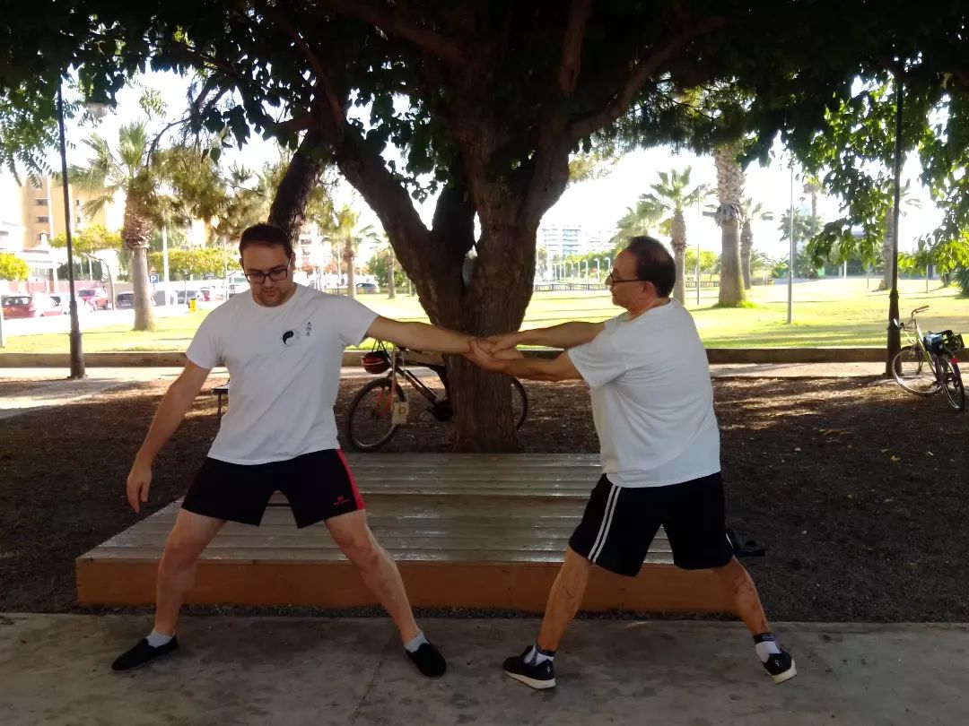 ¿Chi Kung = Tai Chi?